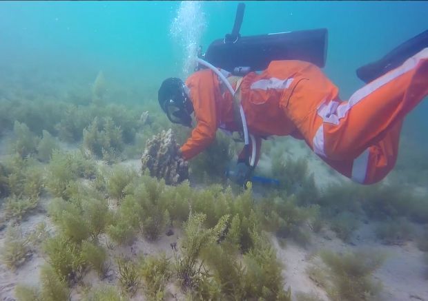 Z6·人生就是博(中国区)有限公司官网