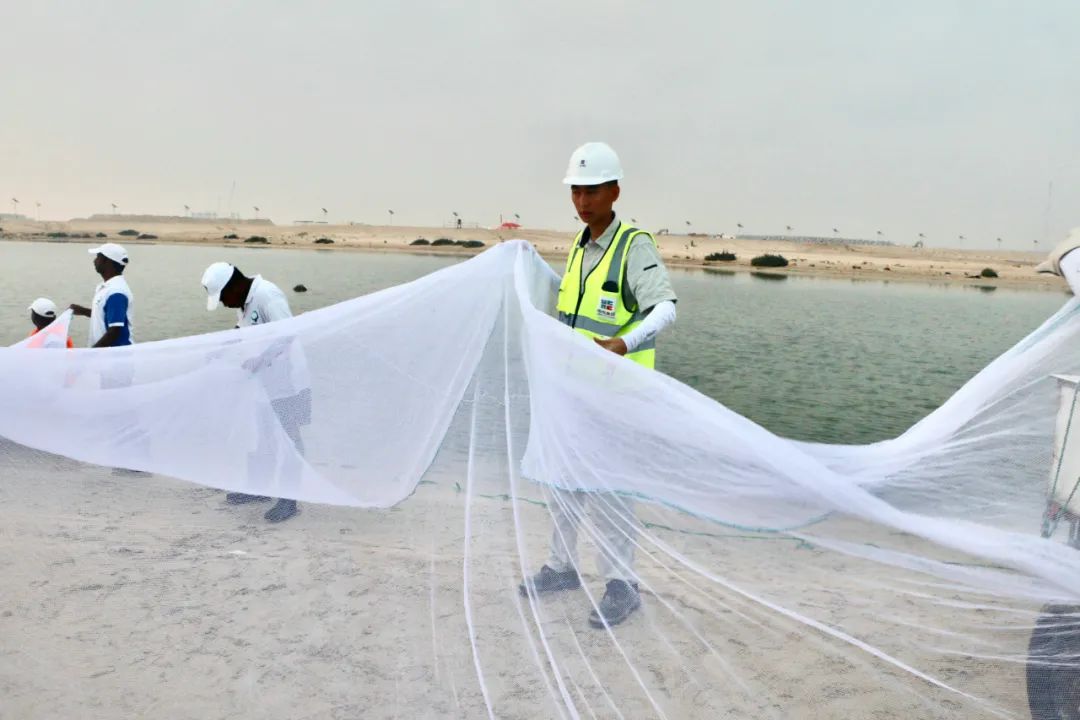 Z6·人生就是博(中国区)有限公司官网