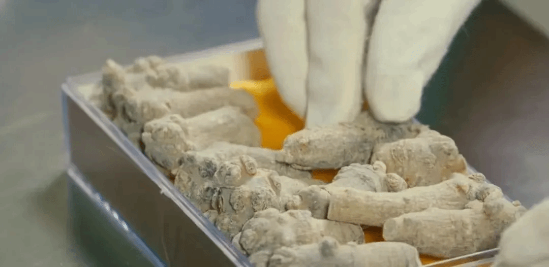 Z6·人生就是博(中国区)有限公司官网