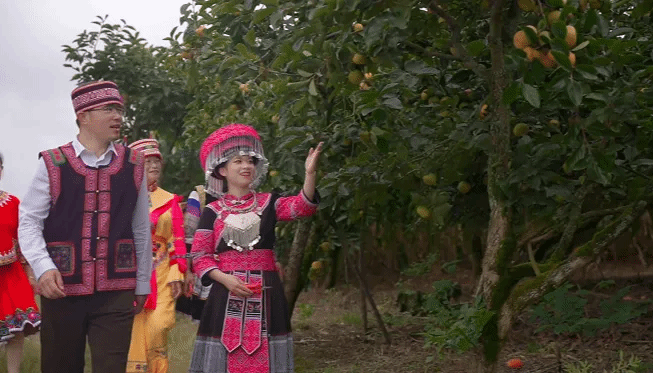 Z6·人生就是博(中国区)有限公司官网