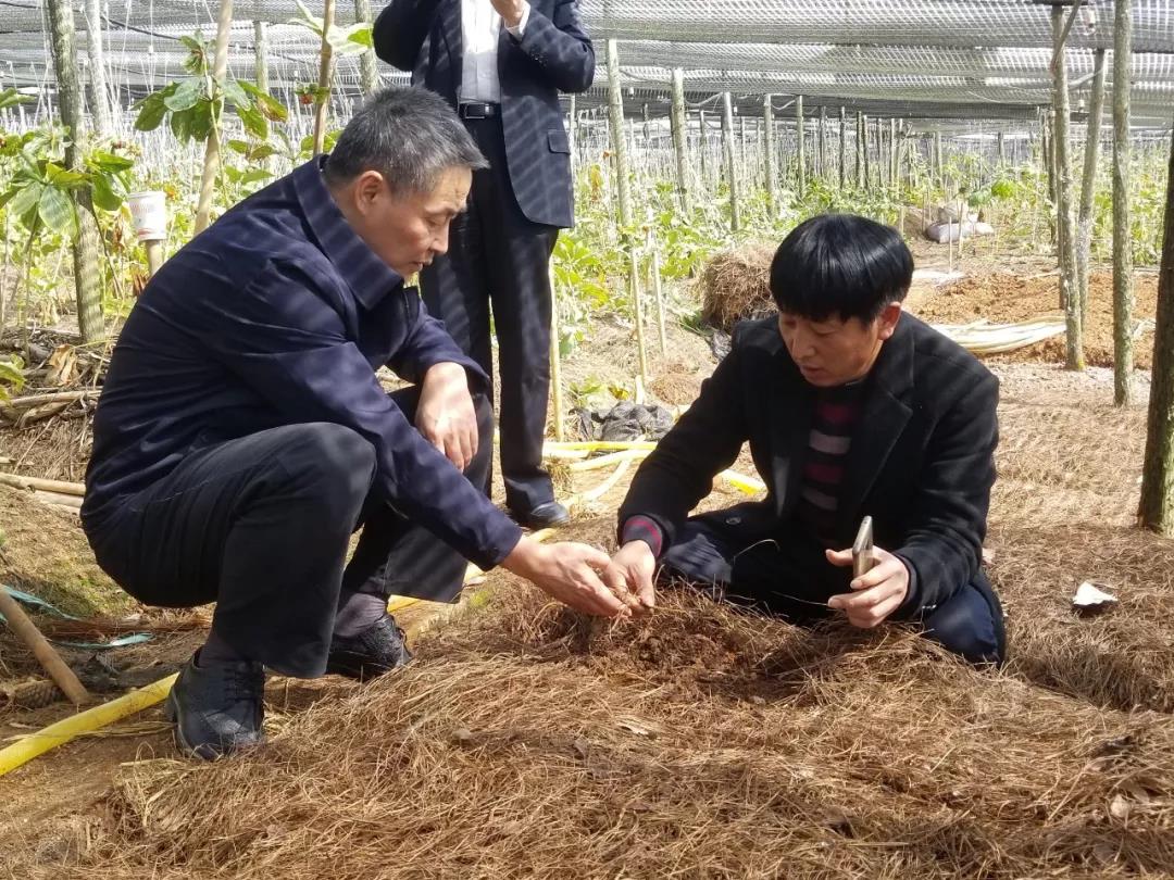 Z6·人生就是博(中国区)有限公司官网