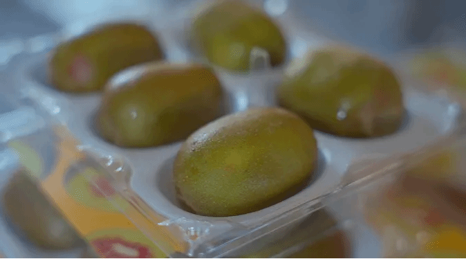 Z6·人生就是博(中国区)有限公司官网