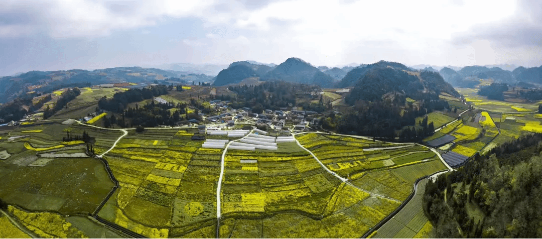 Z6·人生就是博(中国区)有限公司官网