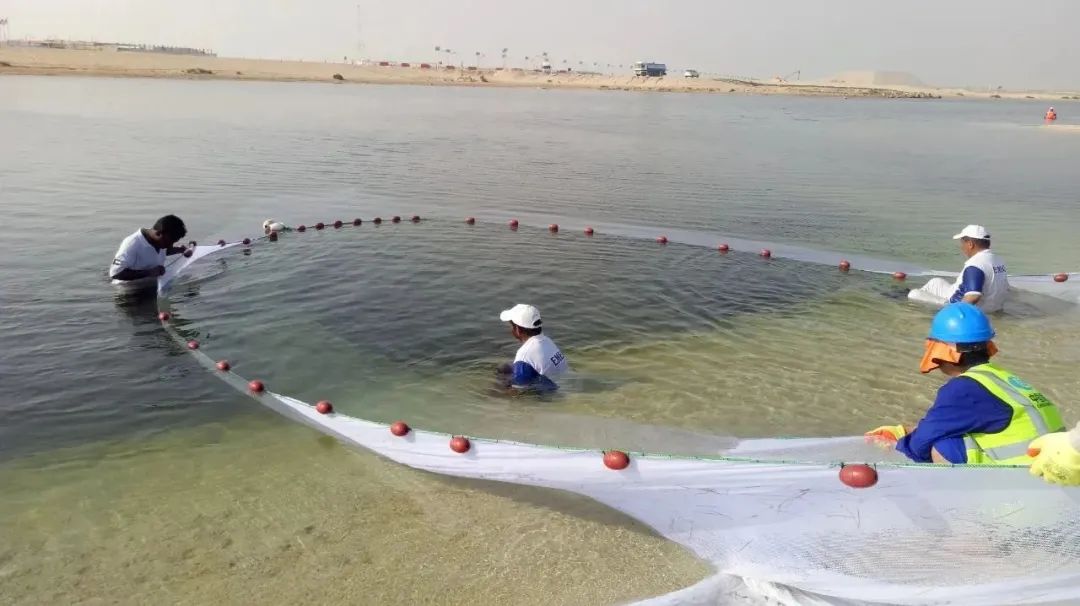 Z6·人生就是博(中国区)有限公司官网