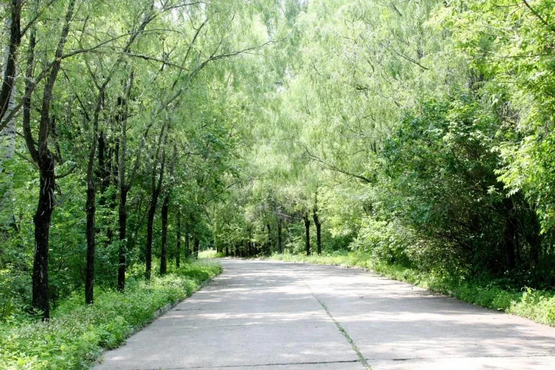 Z6·人生就是博(中国区)有限公司官网