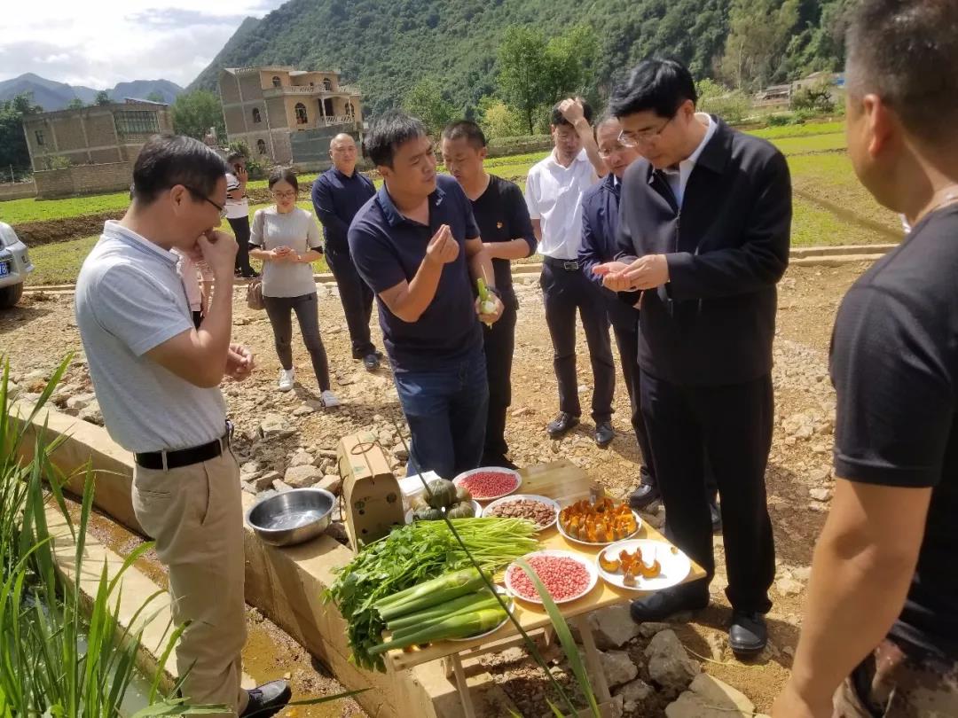 Z6·人生就是博(中国区)有限公司官网