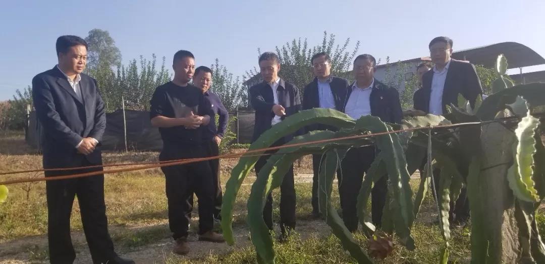 Z6·人生就是博(中国区)有限公司官网