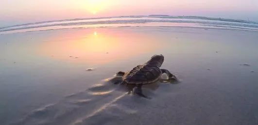 Z6·人生就是博(中国区)有限公司官网