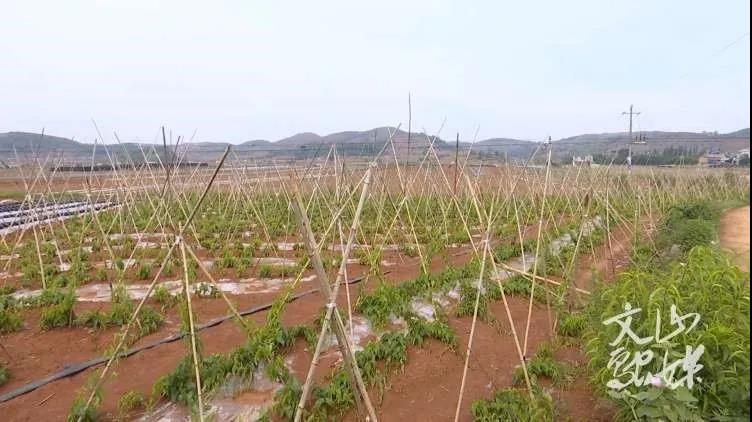 Z6·人生就是博(中国区)有限公司官网