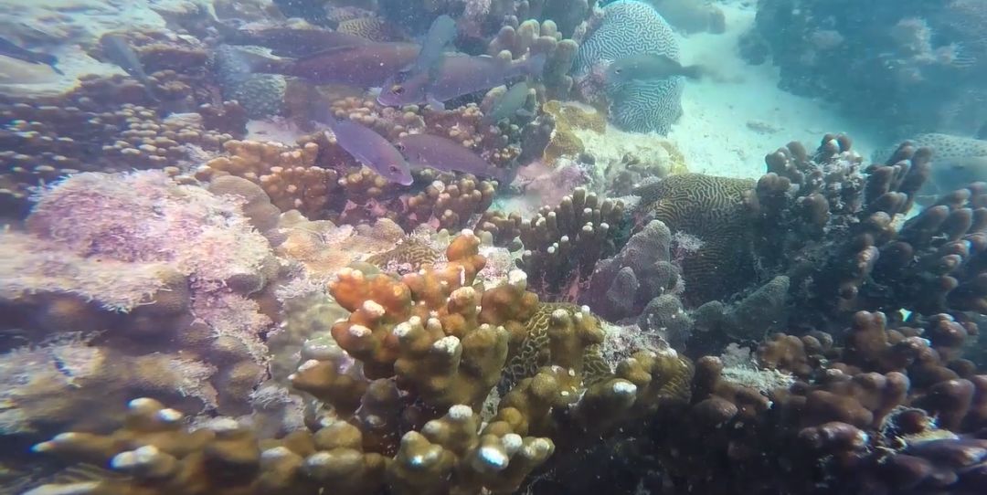 Z6·人生就是博(中国区)有限公司官网