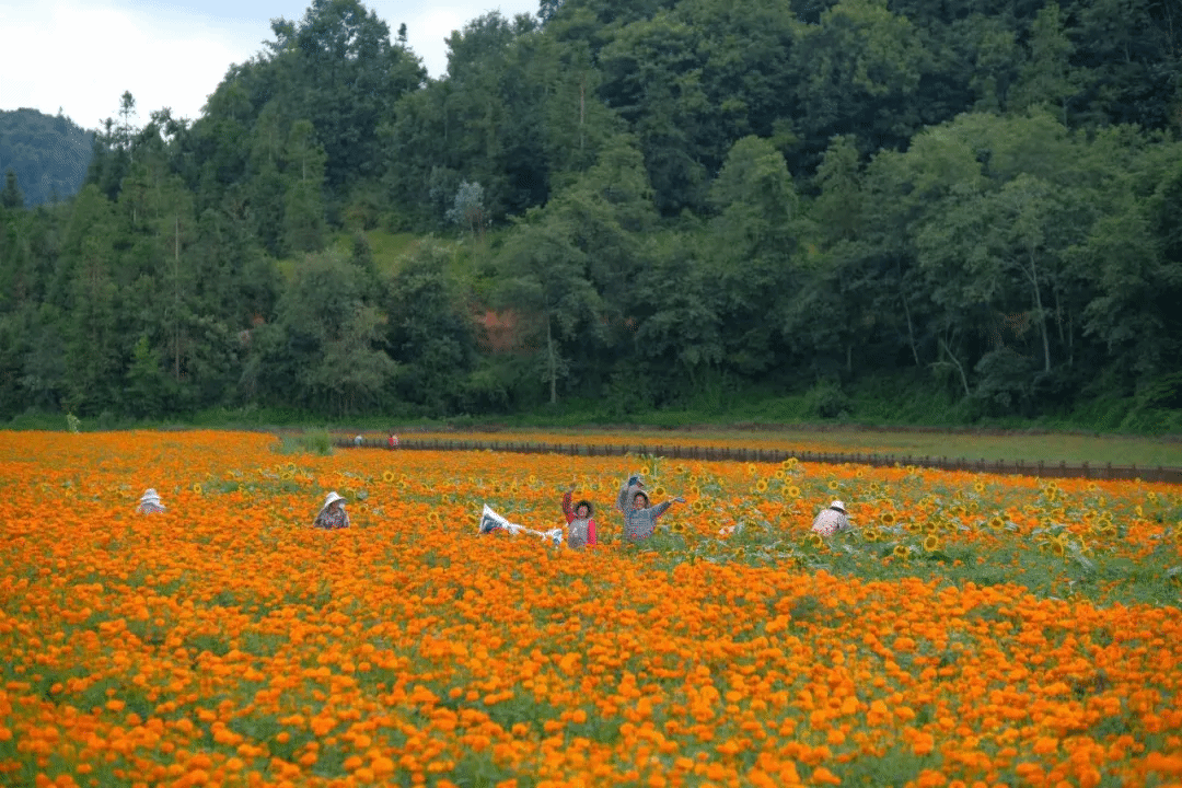 Z6·人生就是博(中国区)有限公司官网