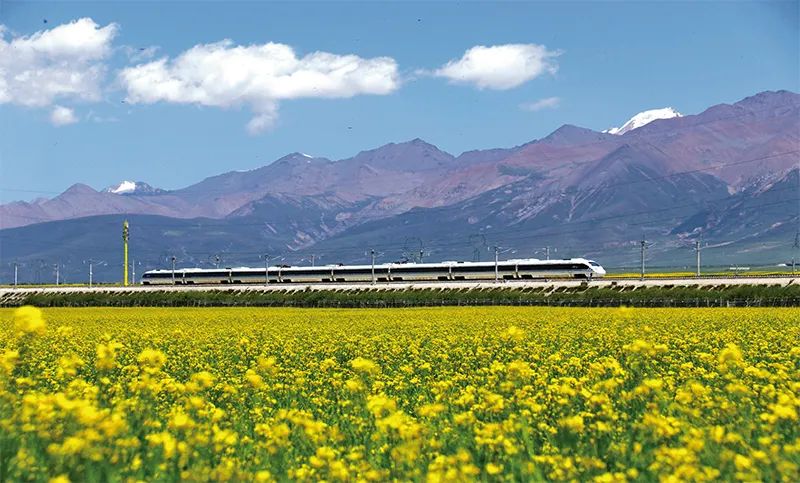 张玉卓、、国资、、央企、、国资委、、书记、、主任、、国企、、企业刷新