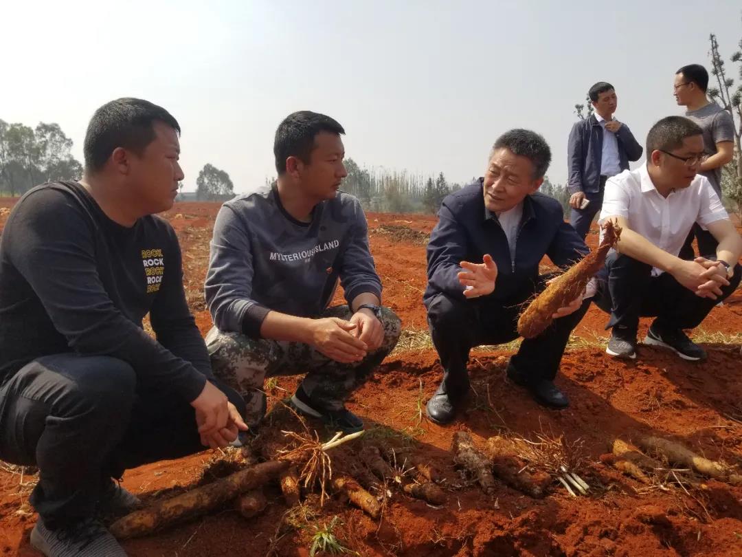 Z6·人生就是博(中国区)有限公司官网