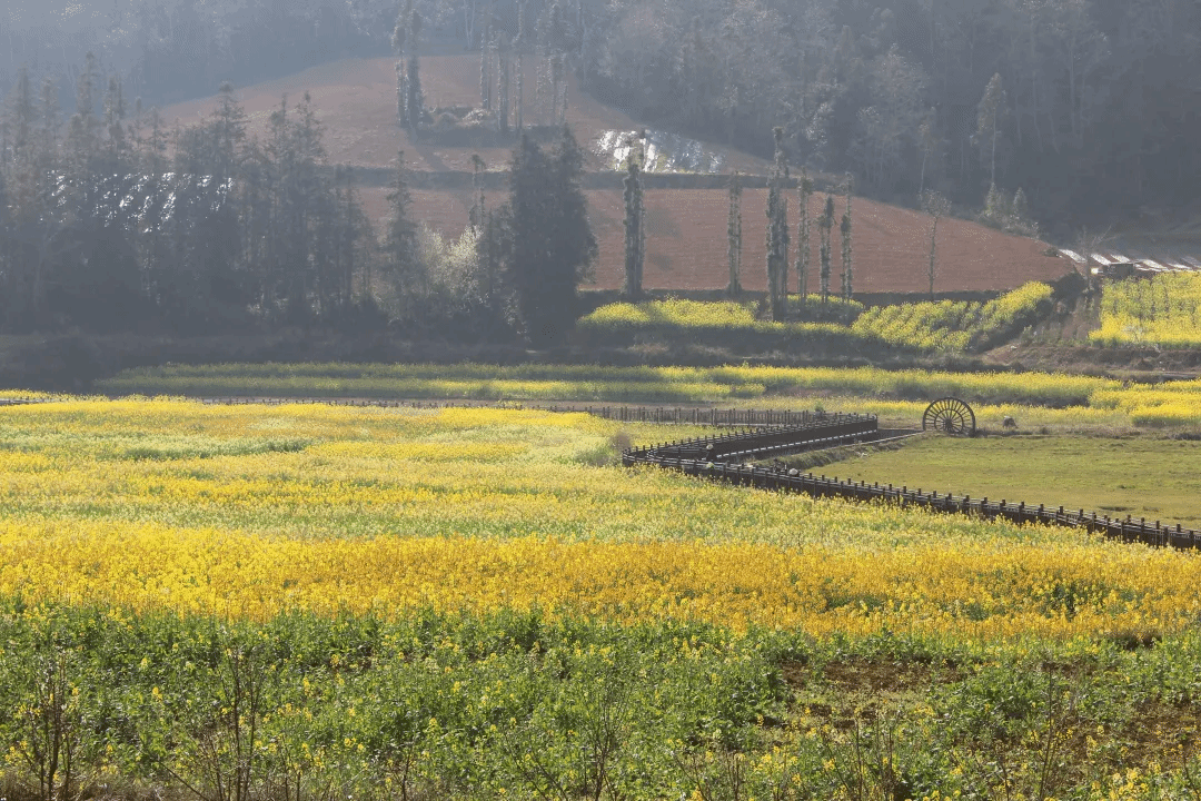 Z6·人生就是博(中国区)有限公司官网