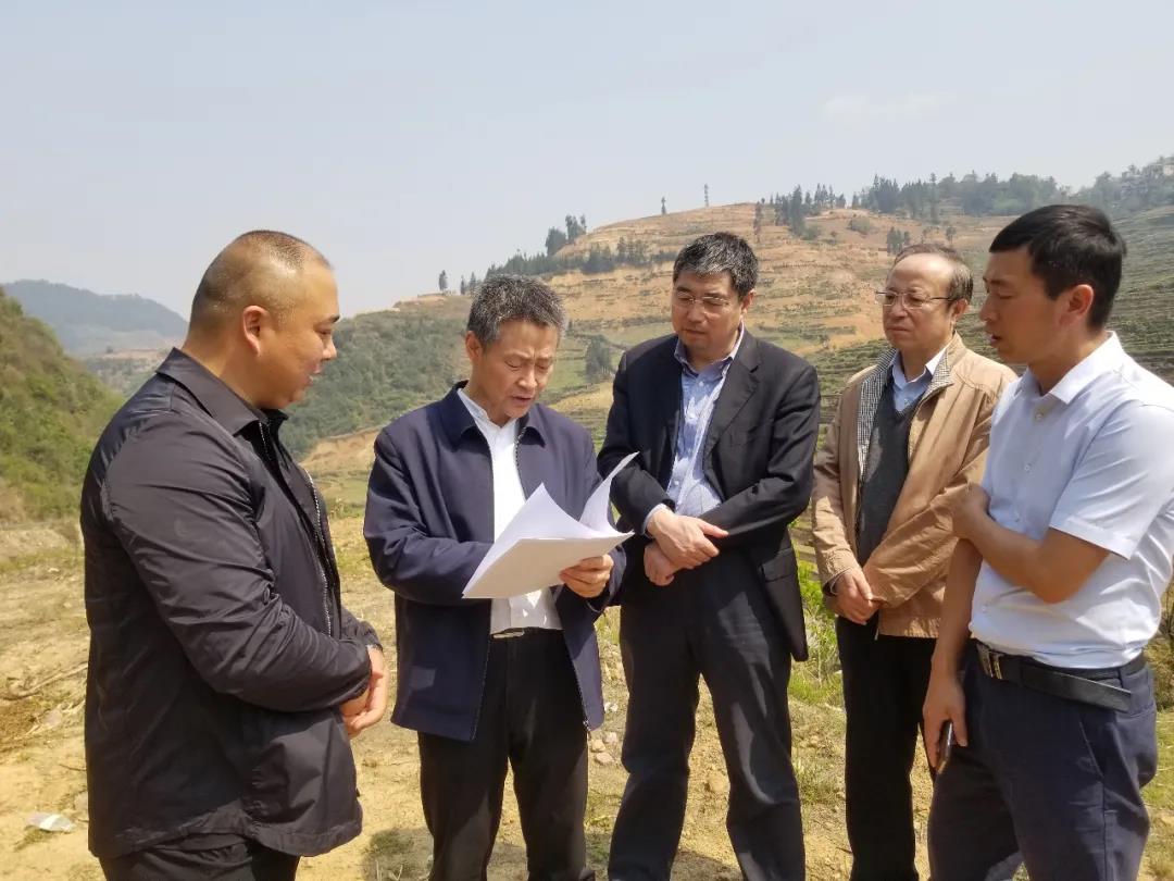 Z6·人生就是博(中国区)有限公司官网