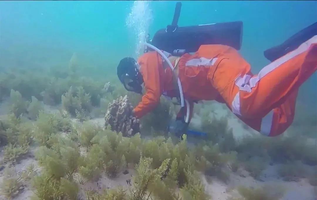 Z6·人生就是博(中国区)有限公司官网